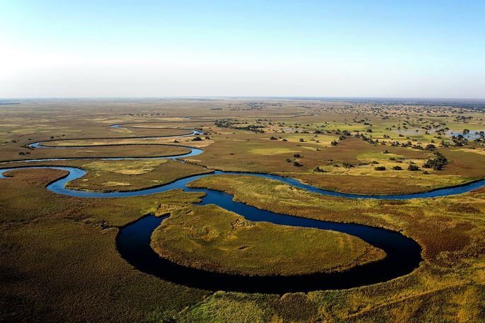 river in the Okavango Delta 