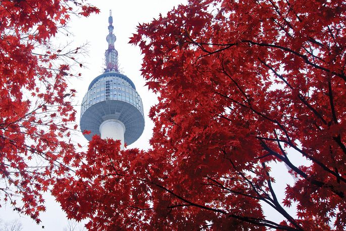 the N Seoul Tower framed by red leaves