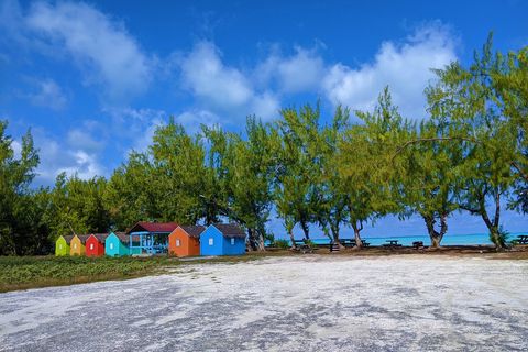 colorful houses and trees on the water