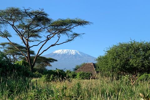 Grassland and snow-covered mountain in Kenya