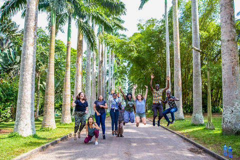 Students jump for a photo surrounded by tall palm trees