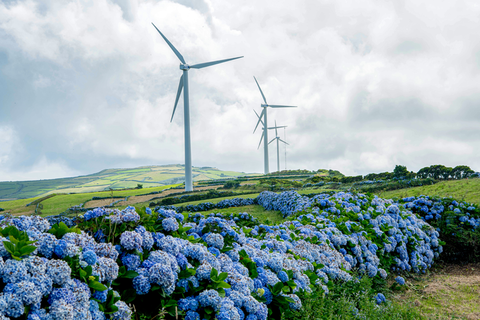 Giant windmills loom in a grey sky over a field of blue flowers